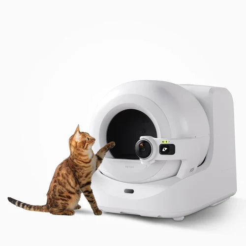 Self-Cleaning Cat litters