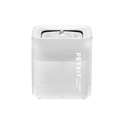 EverSweet Solo SE Pet Water Fountain