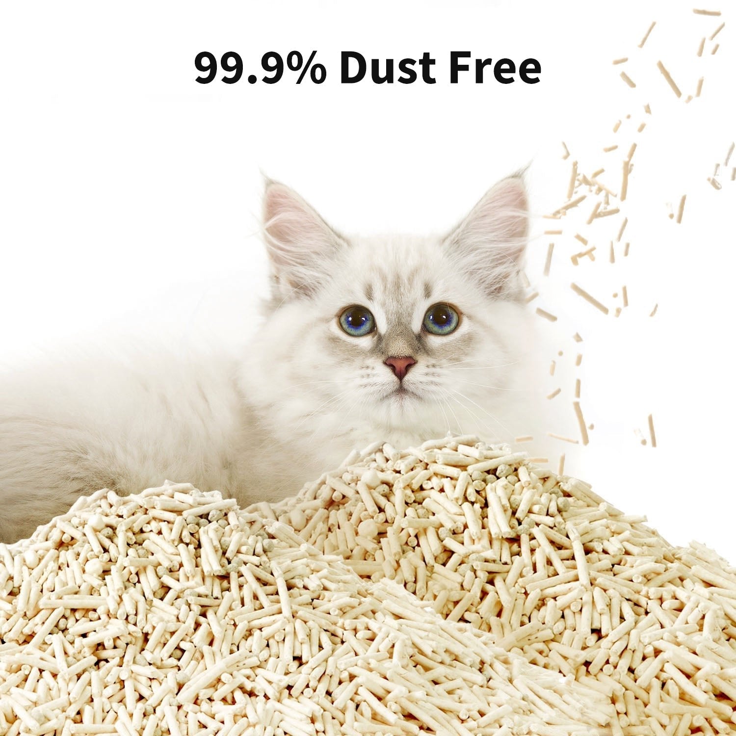 Occult Blood Test Mixed Cat Litter - 4 Bags